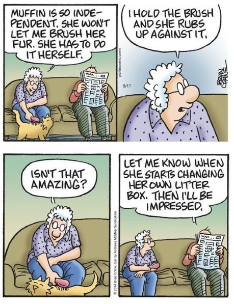 muffin the cat litter box.jpg